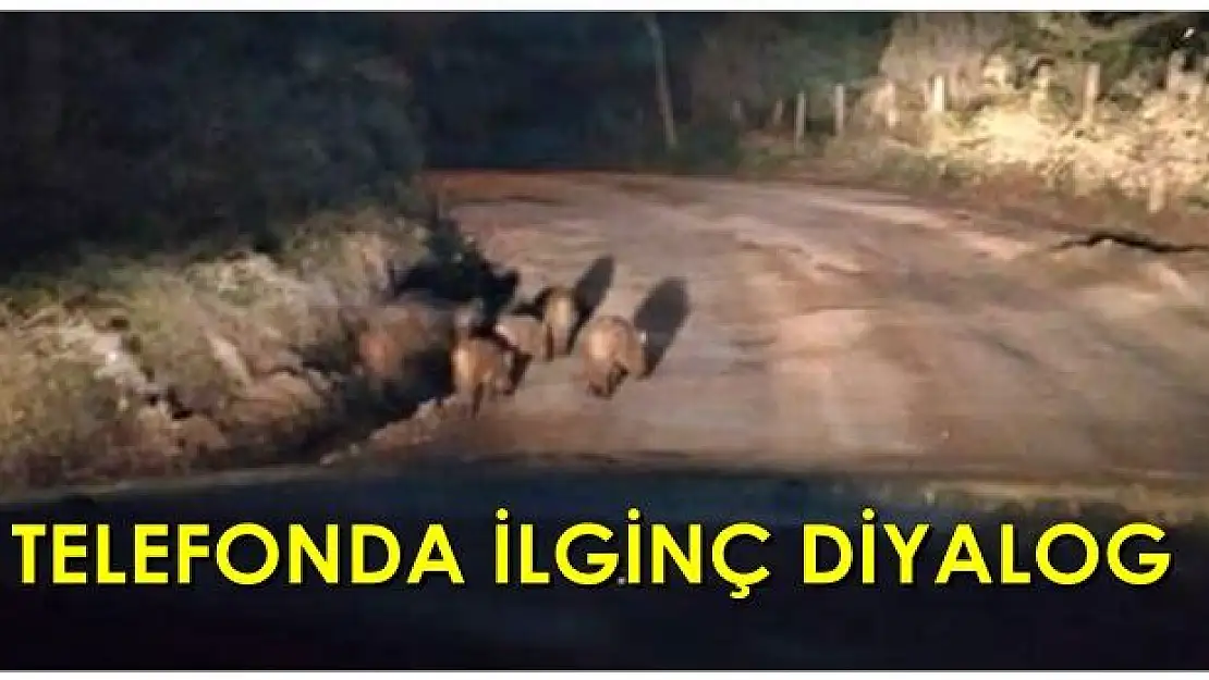 Vallahi önümde, hiç kaçmıyorlar!
