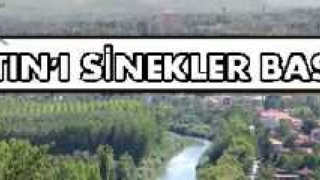 VATANDAŞ SİNEKLERDEN MUZDARİP