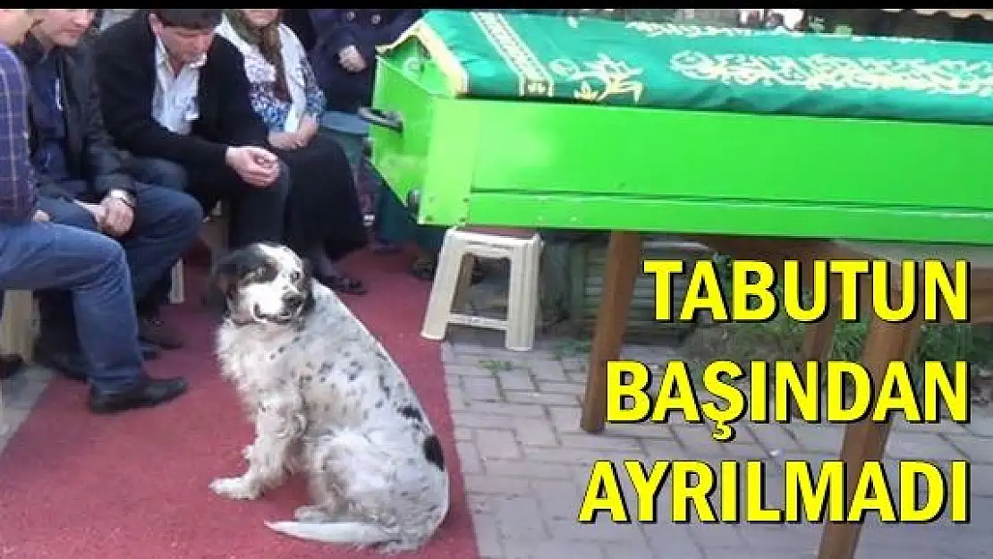 Vefalı Köpeği Burak'ı Son Yolculuğuna Böyle Uğurladı