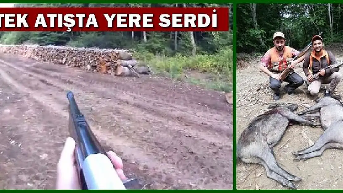 Yaban domuzunu tek atışta böyle yere serdi