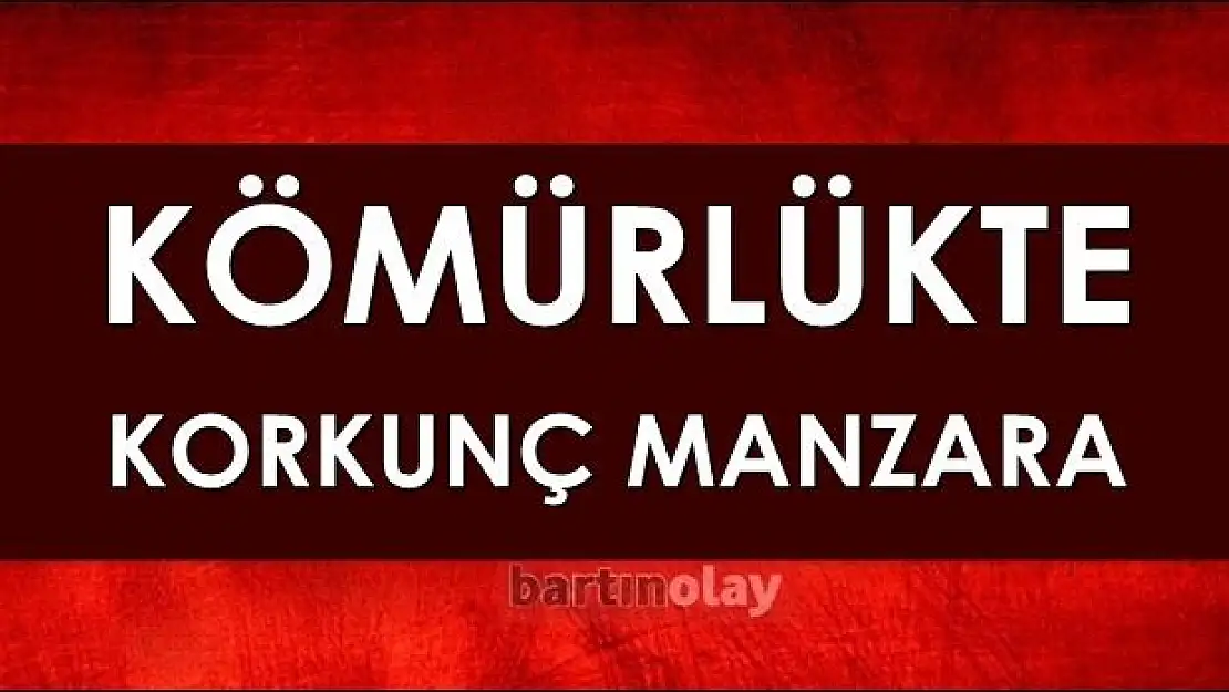 Yaşlı kadın canına kıydı