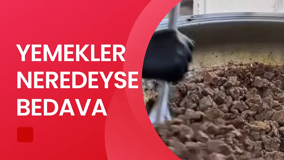 Yemekler neredeyse bedava