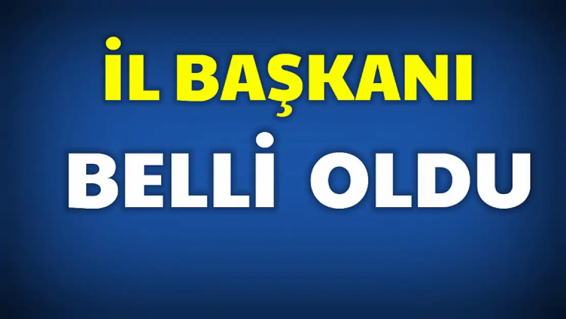 Yeni il başkanı belli oldu