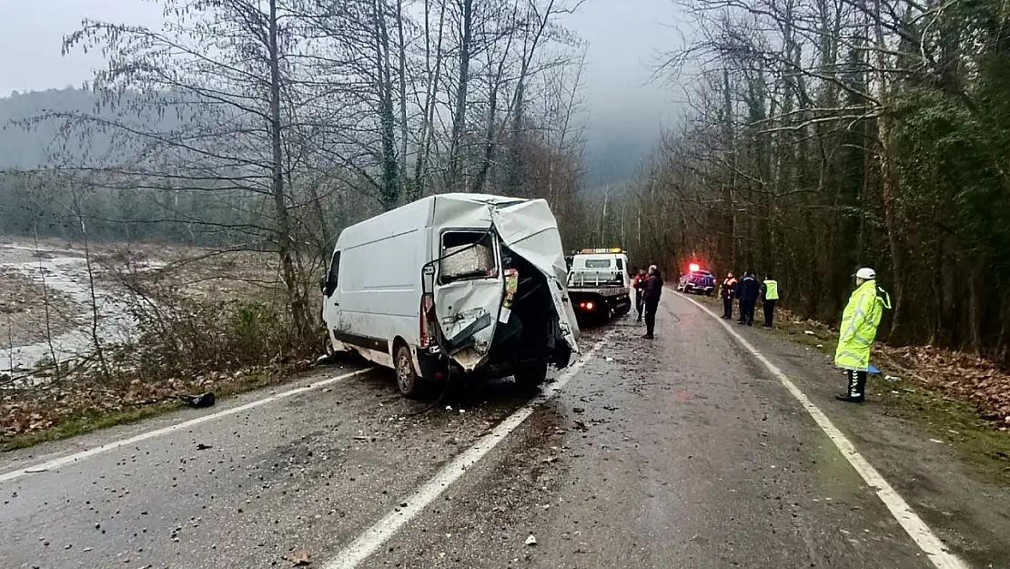 Yola çıkan hayvan kaza yaptırdı