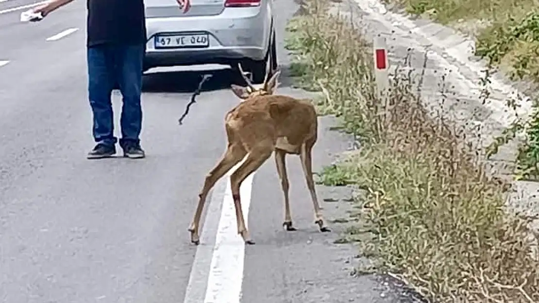 Yola fırladı, araba çarptı