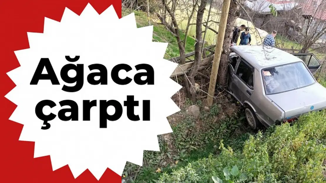 Yoldan çıkan otomobil ağaca çarptı