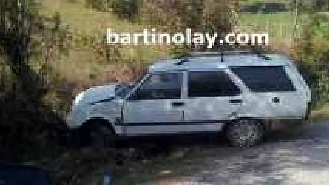 Yoldan Çıkan Otomobil Ağaca Çarptı:4 Yaralı