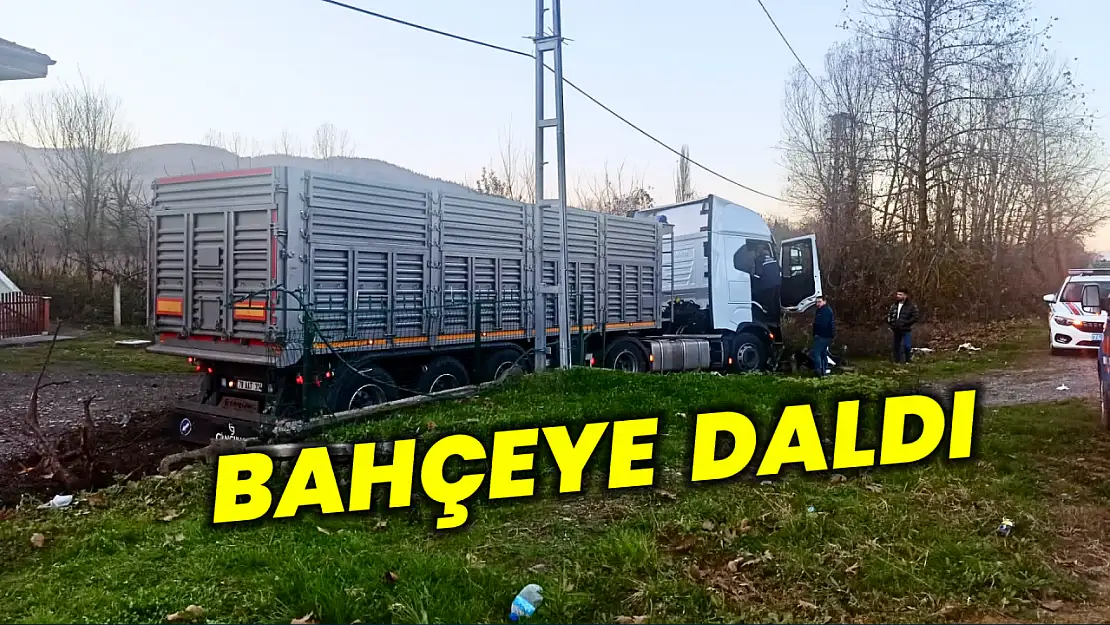 Yoldan çıkan tır evin bahçesine daldı