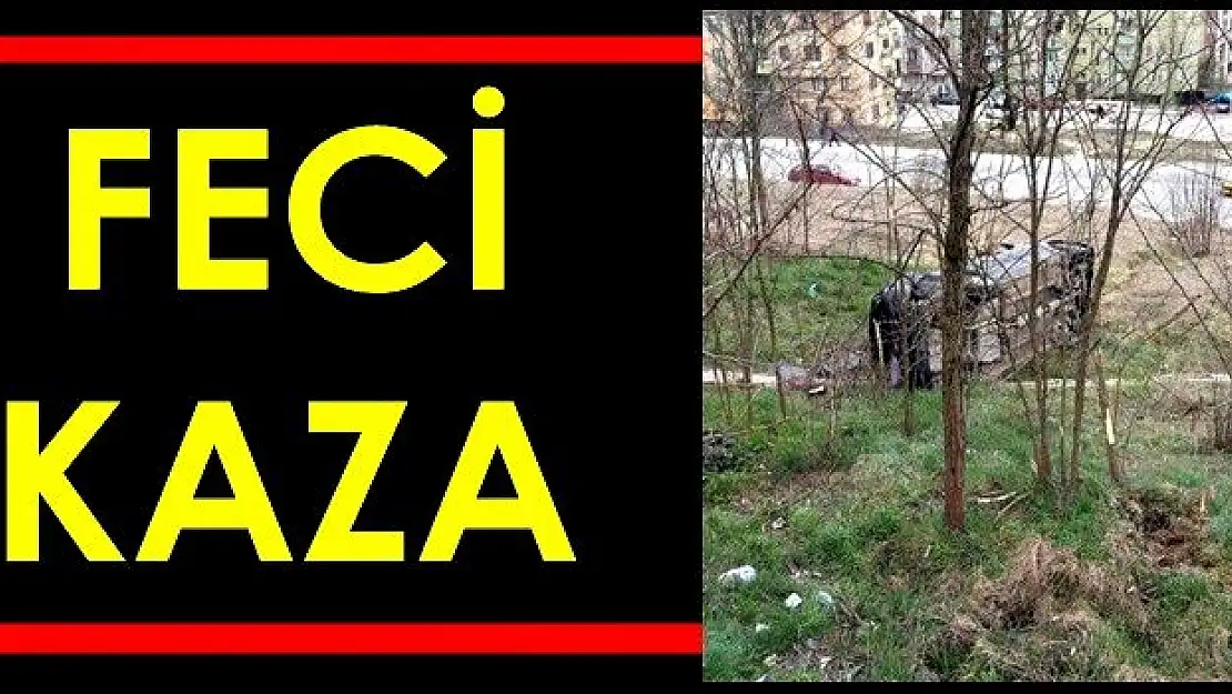 Yoldan çıkıp şarampole uçtu