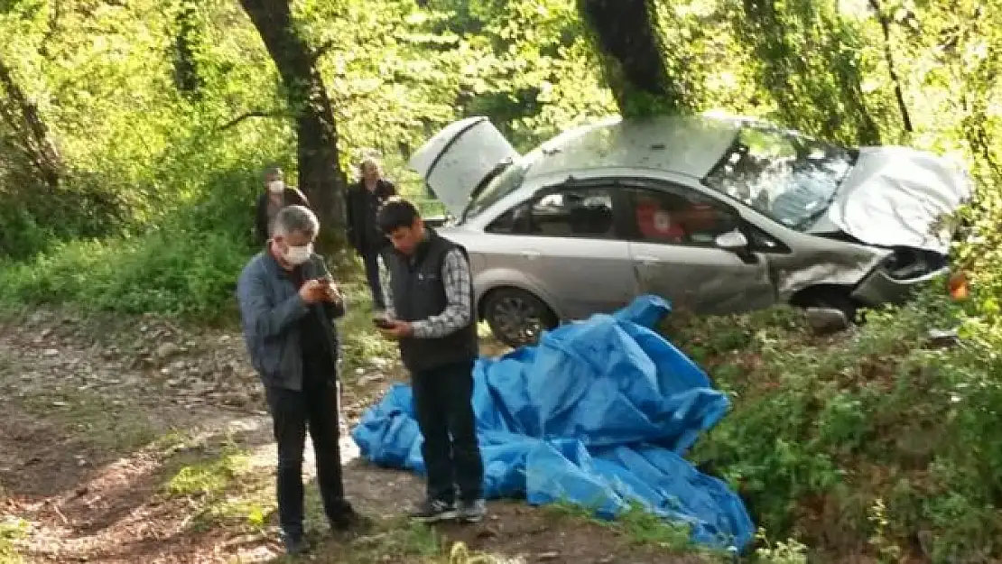 Yoldan çıktı, ağaca çarptı