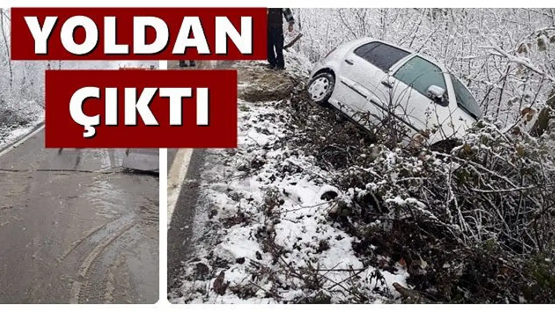 Yoldan çıktı, şarampole girdi