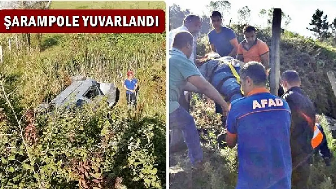 Yoldan çıktı, şarampole yuvarlandı