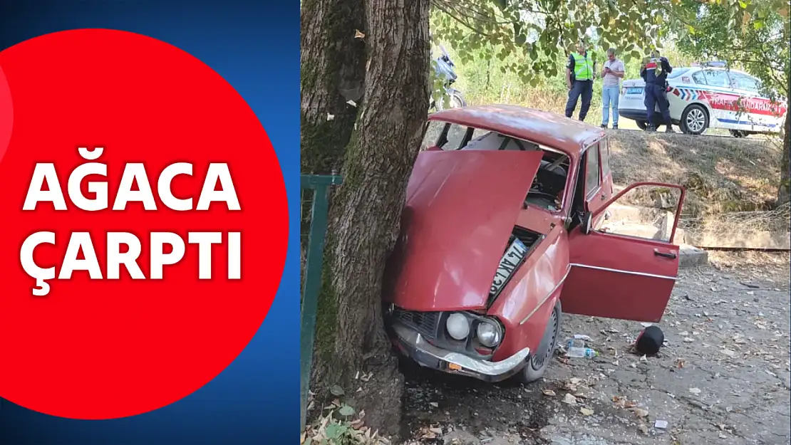 Yoldan çıktı, ağaca çarptı