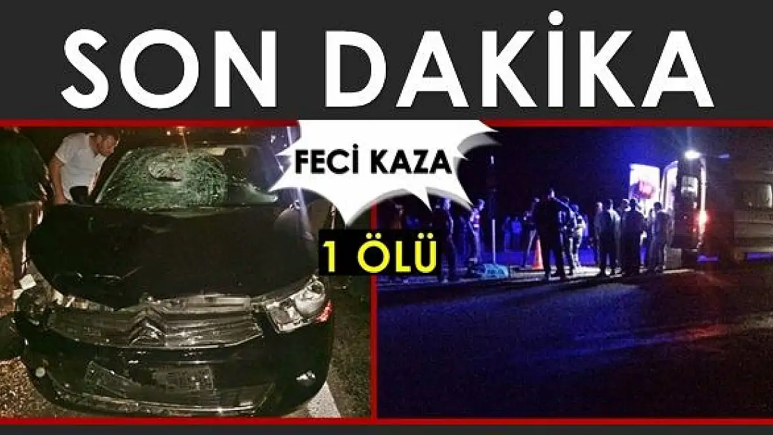 Yolun karşısına geçerken canından oldu