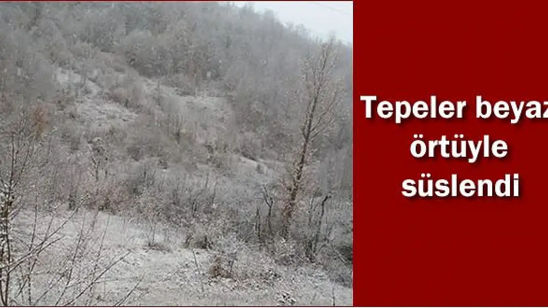 Yüksek kesimlerde kar yağışı