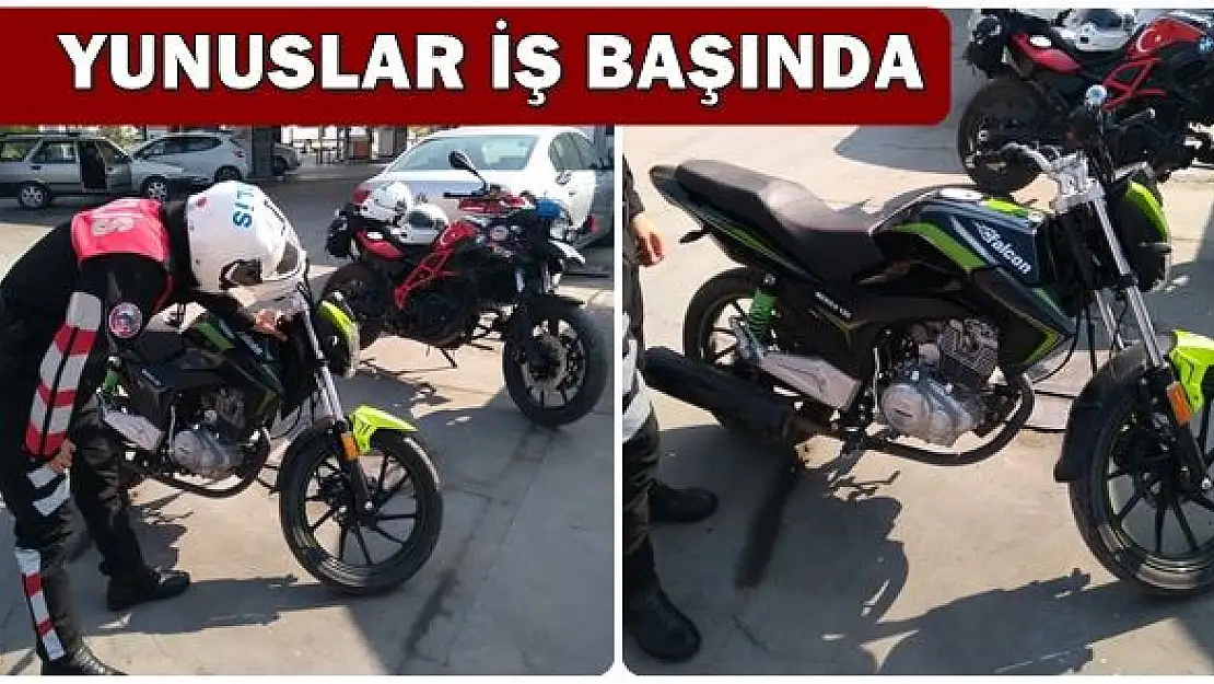 Yunusların dikkatinden kaçmadı