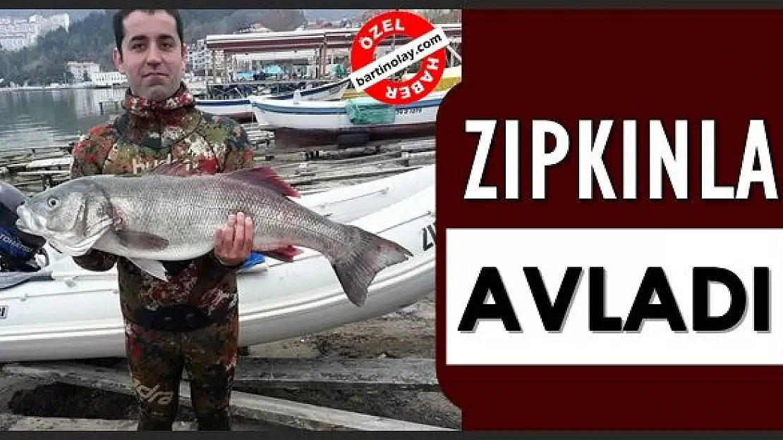 Zıpkınla 9 kiloluk levrek avladı