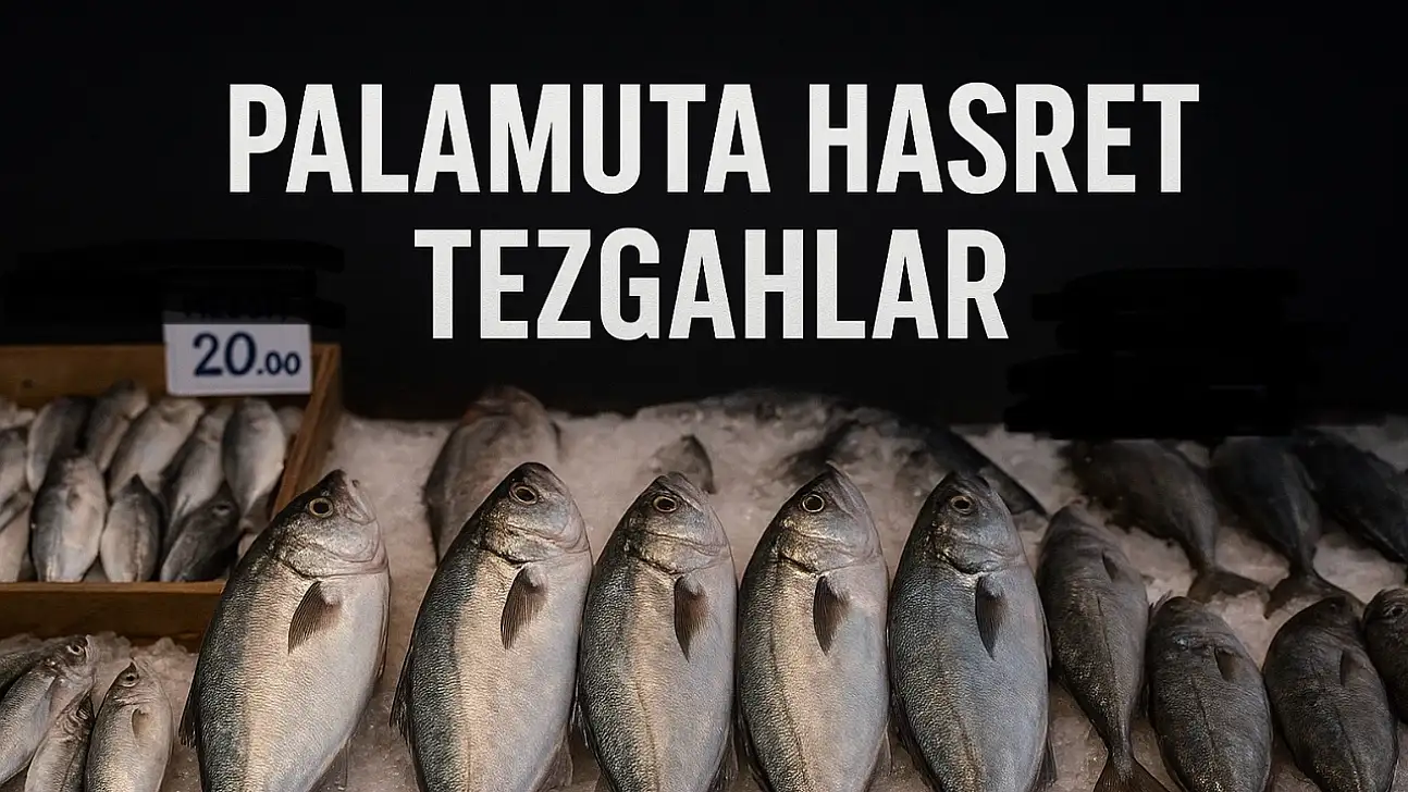 Balıkçıların gözü 'kestane karası'nda