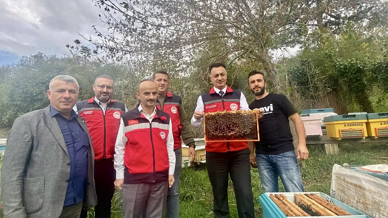 Bartın'da bal gibi üretim