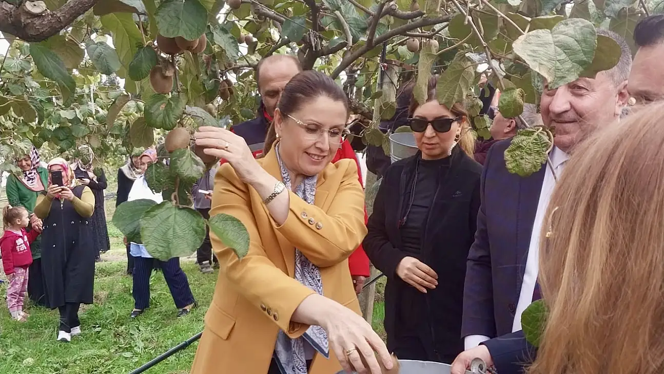 Bartın'da hasat heyecanı