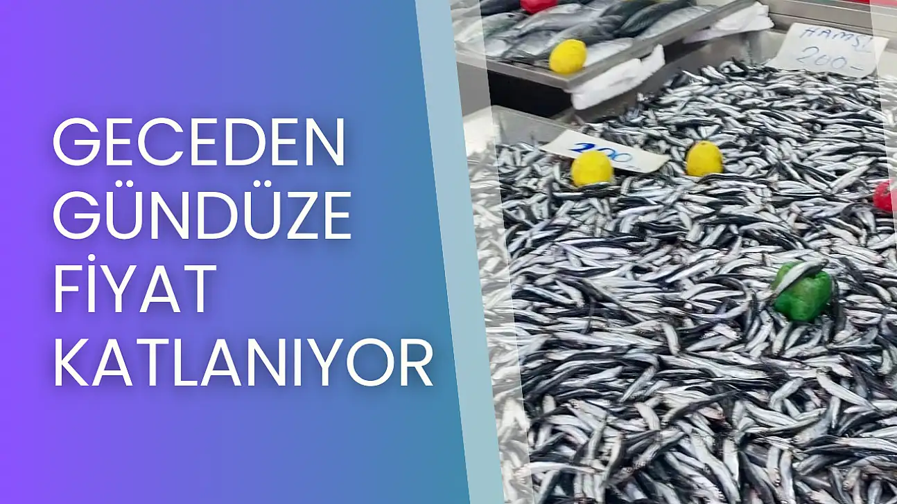 Fiyatlar denize göre değişiyor
