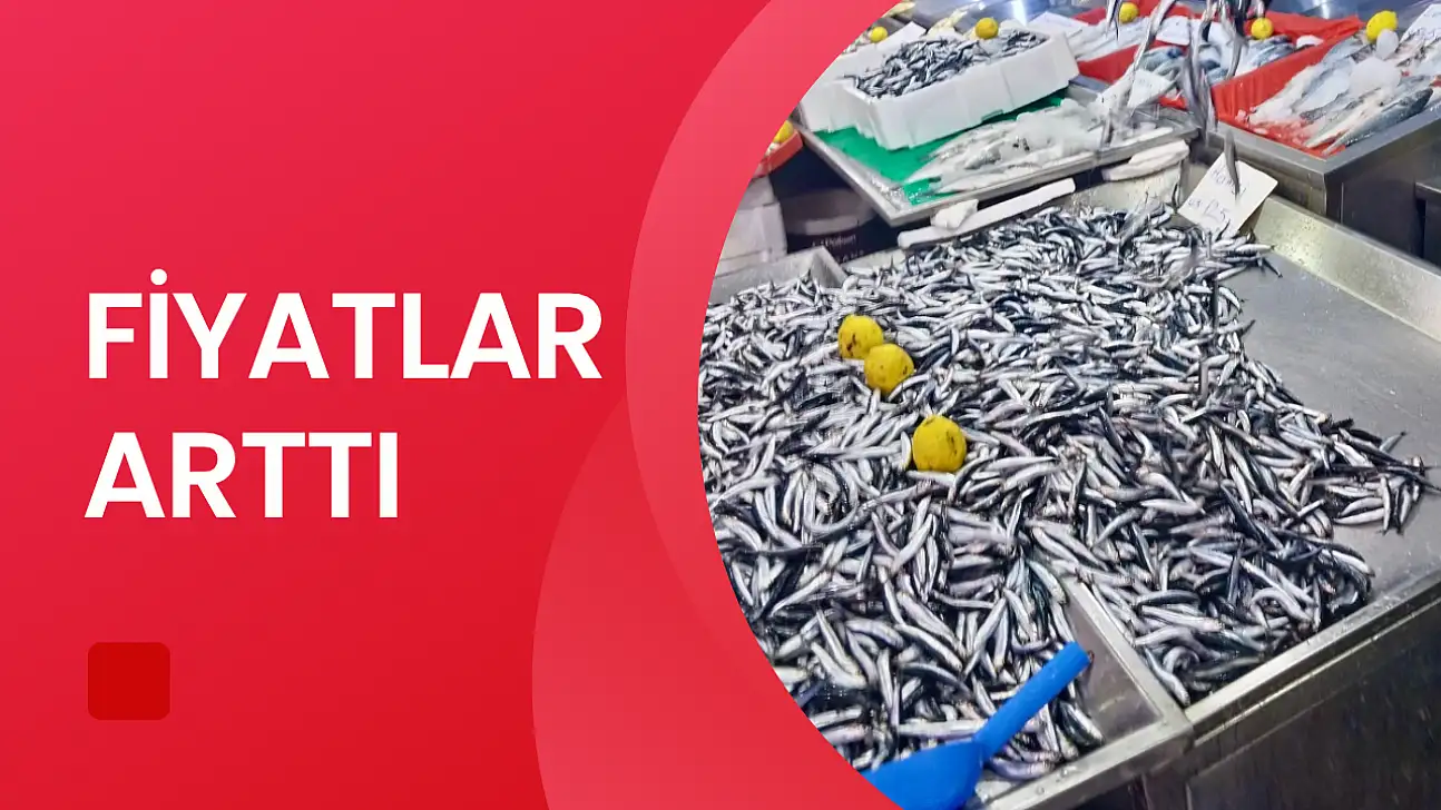 Hava bozdu, balık azaldı