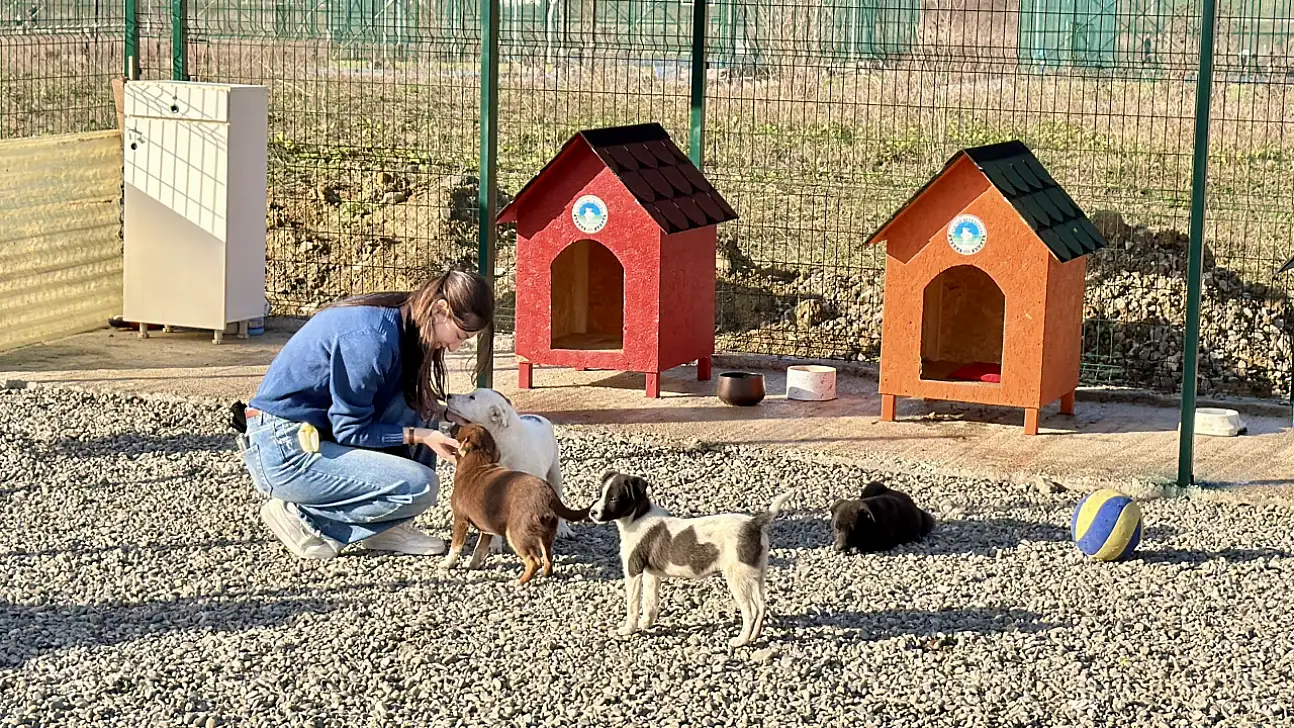 Hayvan Doğal Yaşam Alanı kuruldu