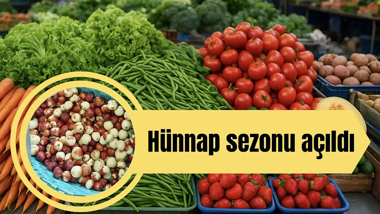 Hünnap sezonu açıldı