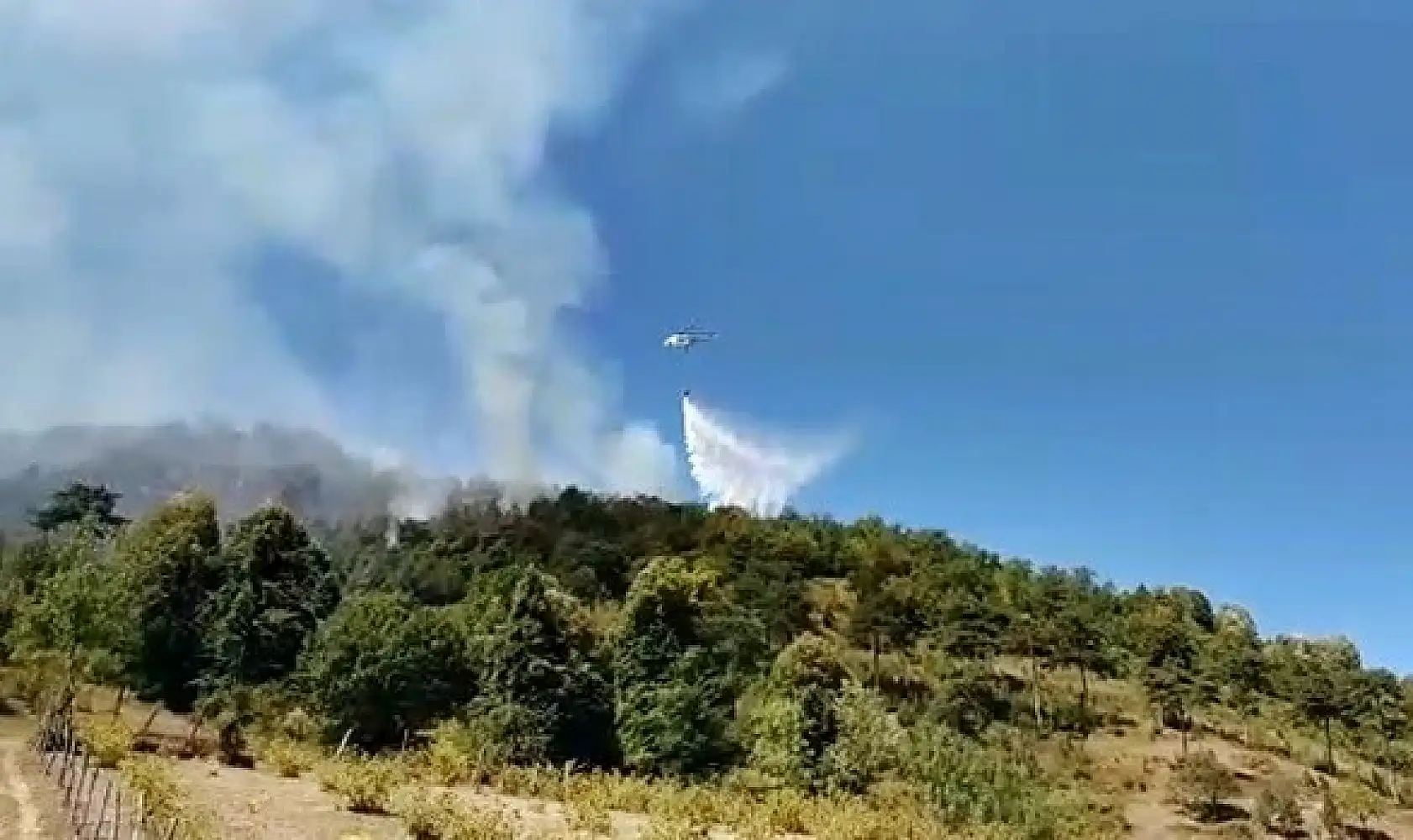 Bartın'da orman yangını