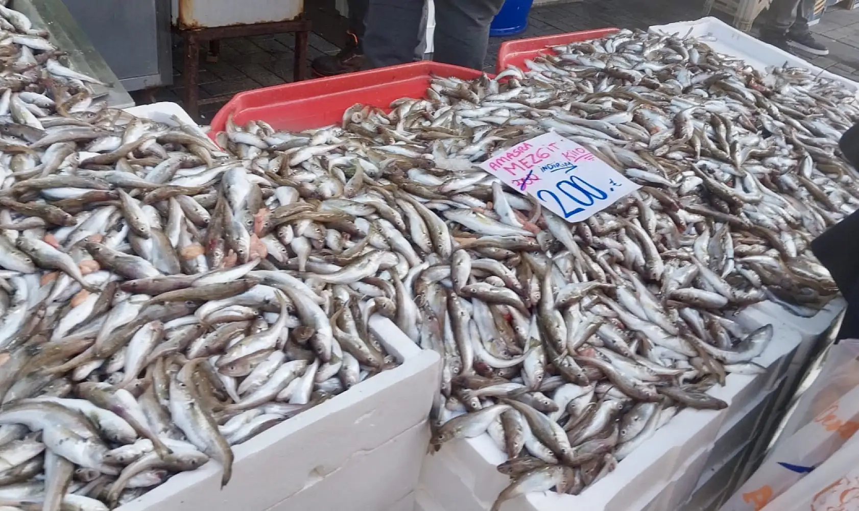 Tezgahın kralı geldi