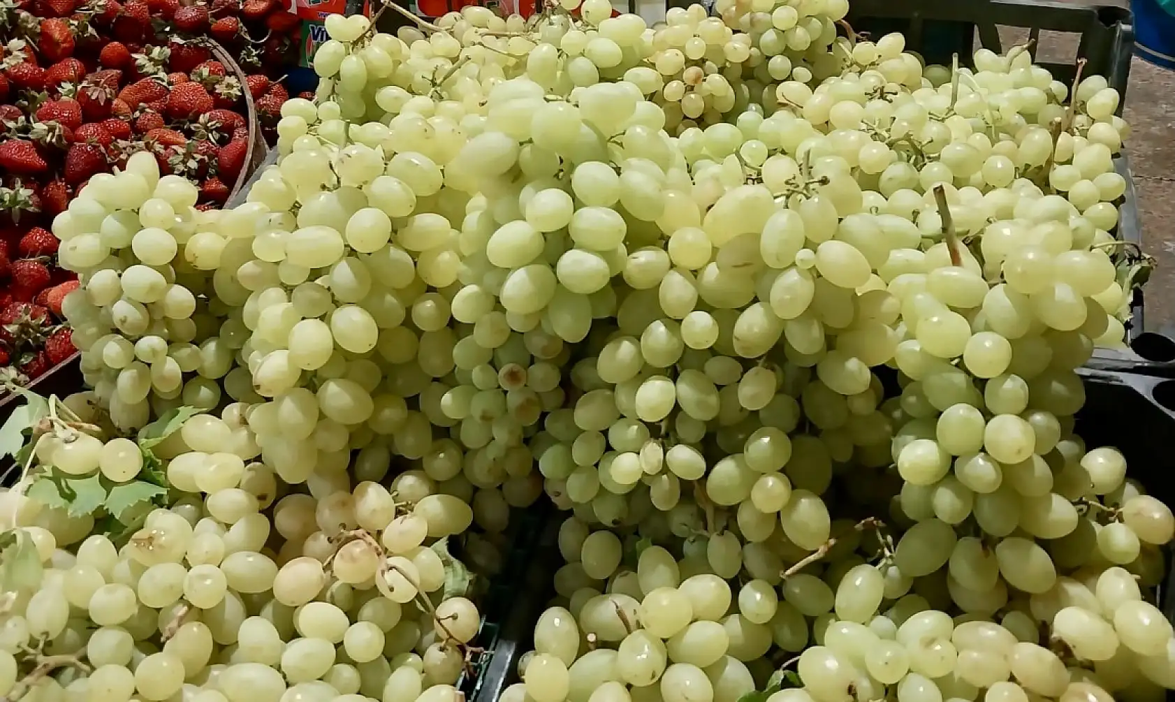 Fiyatlar da sıcaklar gibi yakıyor