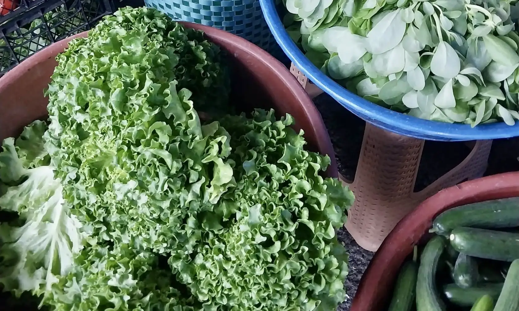 Enflasyon düşüyor, fiyatlar çıkıyor