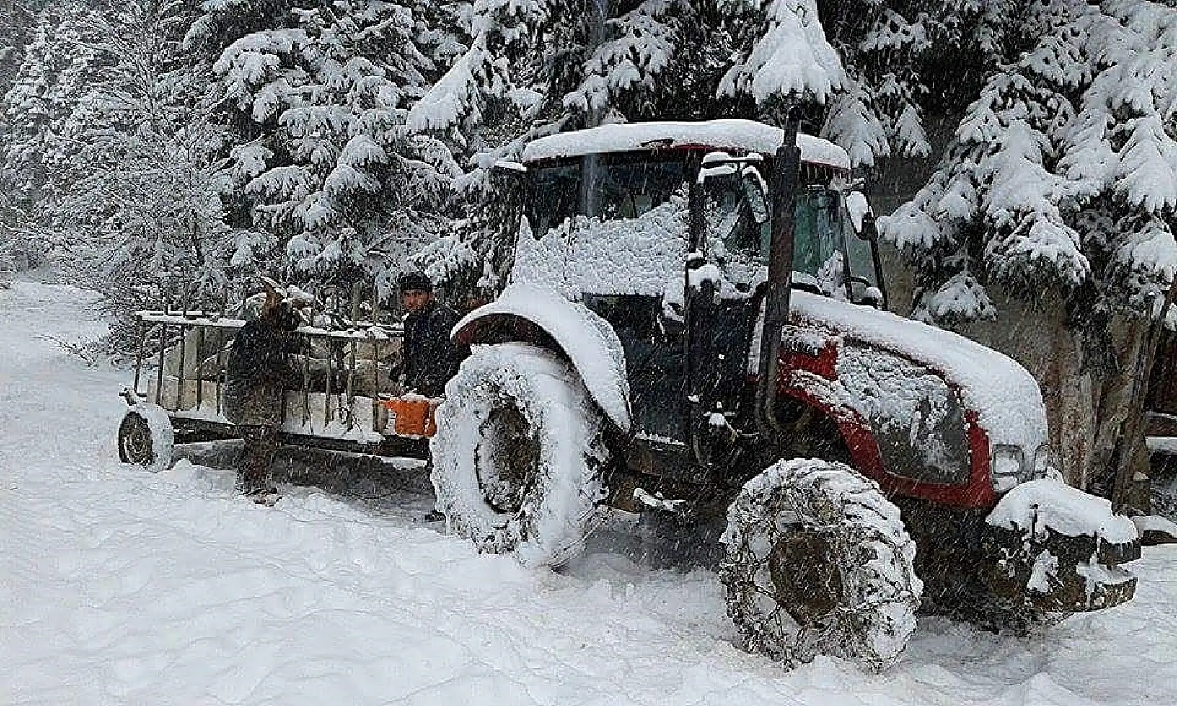 Bartın'da beklenen kar başladı