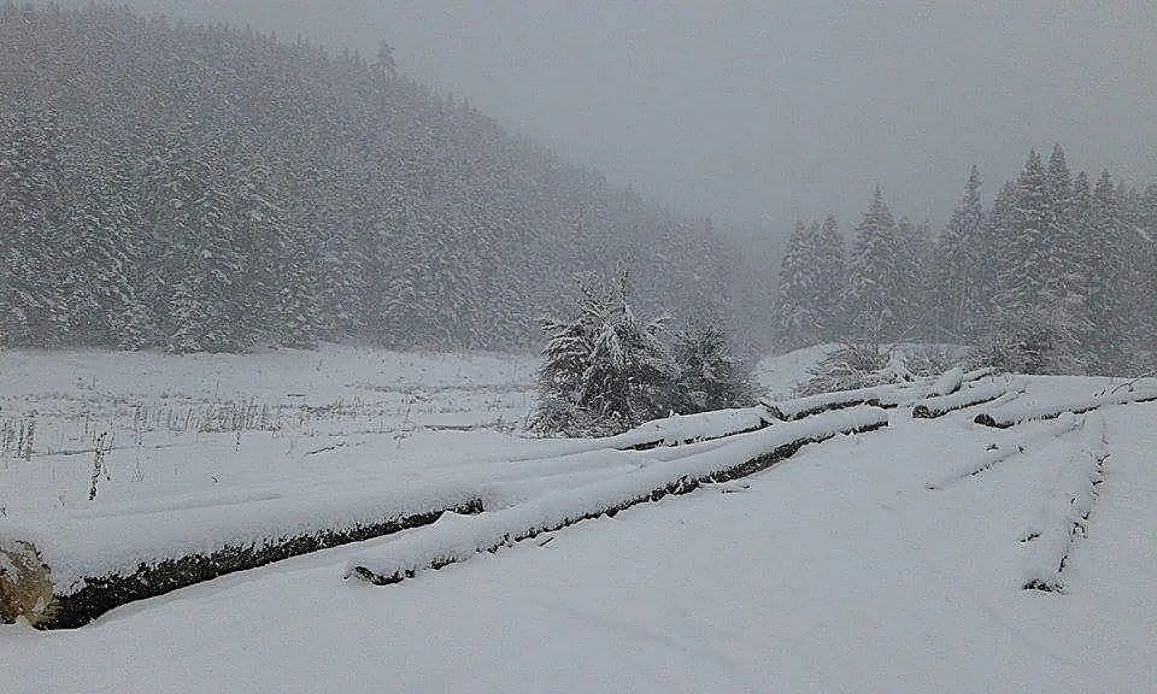 Bartın'da beklenen kar başladı