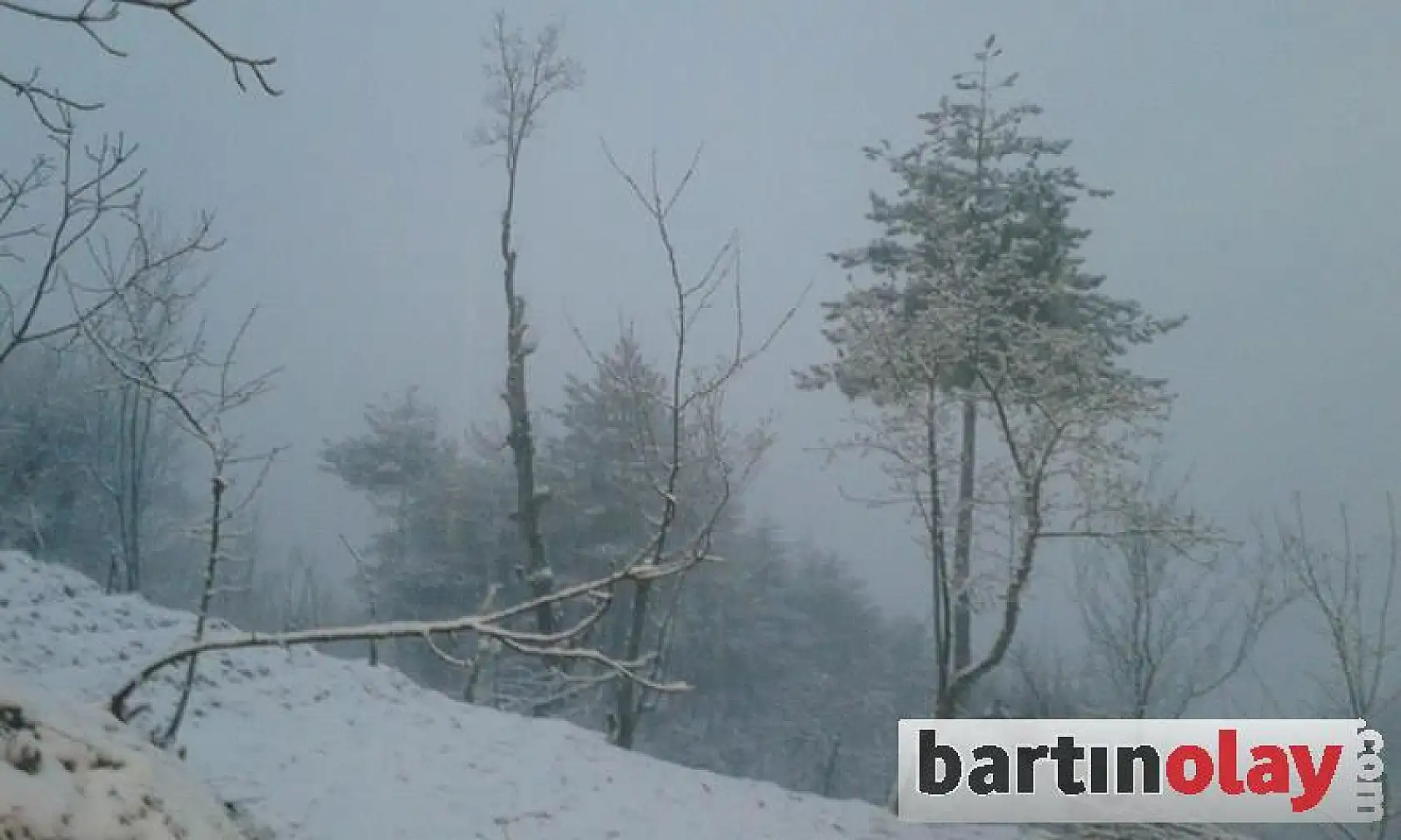 Bartın'da martta kar sürprizi