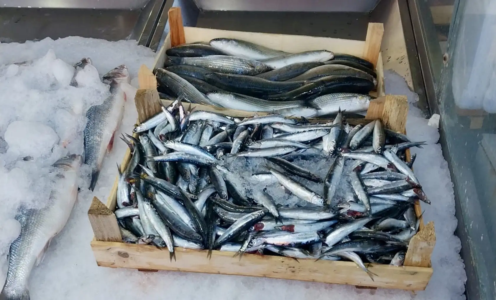 Salı pazarında tezgahların durumu