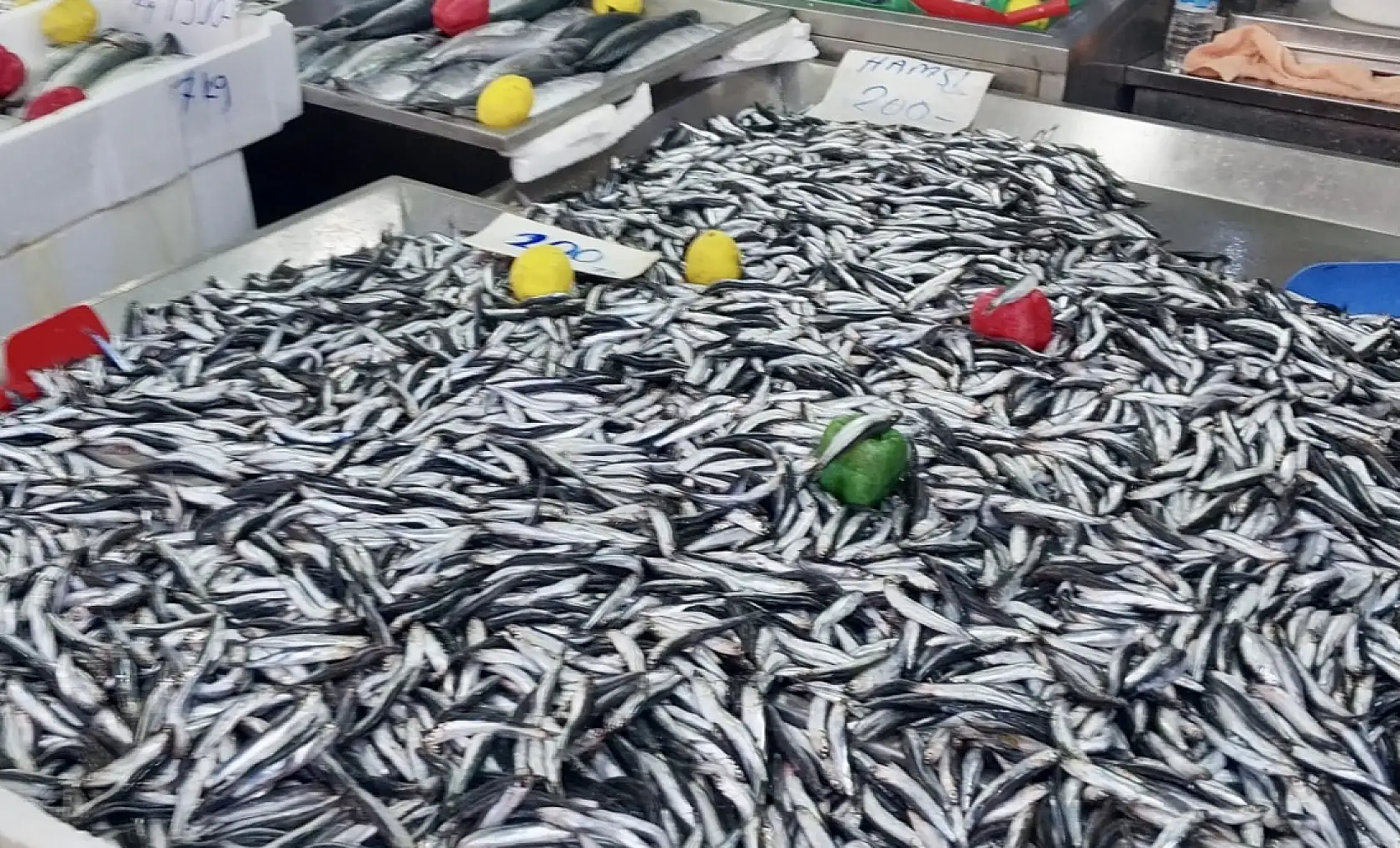 Fiyatlar denize göre değişiyor