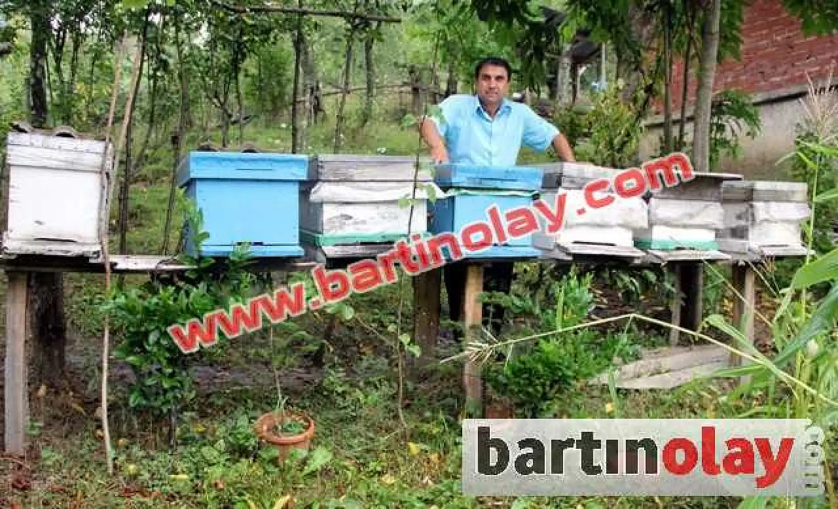 BU ARILAR OYUN HAVASI DİNLİYOR