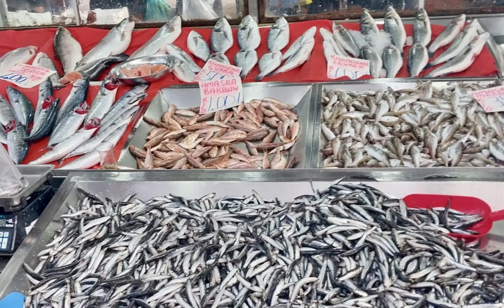 Deniz cömert, pazar sert