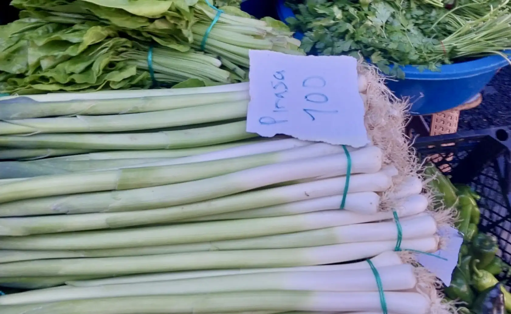 Fasulye inişte, bamya direnişte