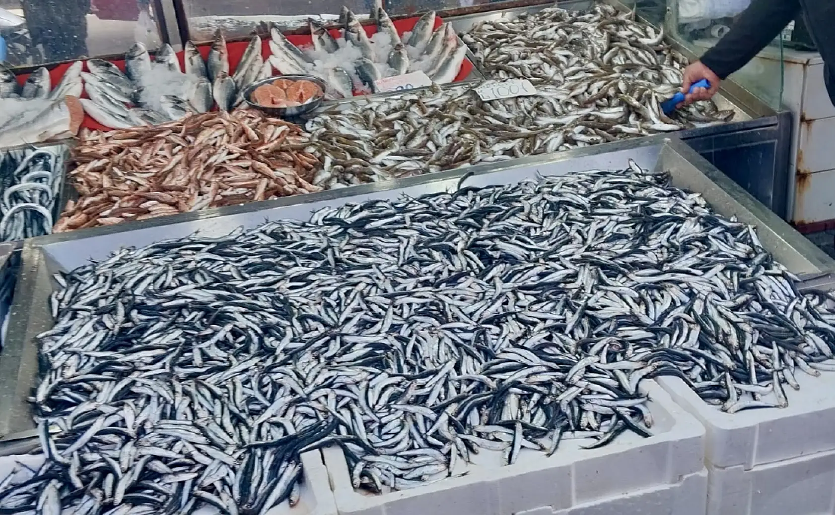 Sezon bitmeden balığa doyun