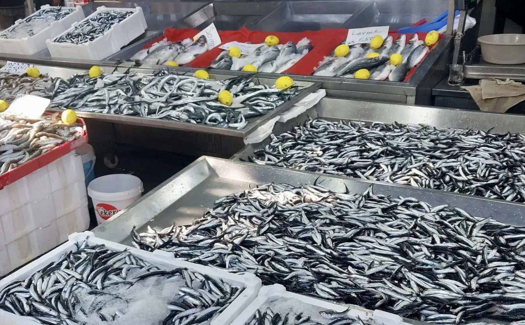 Mezgit kayığa çıkmıyor