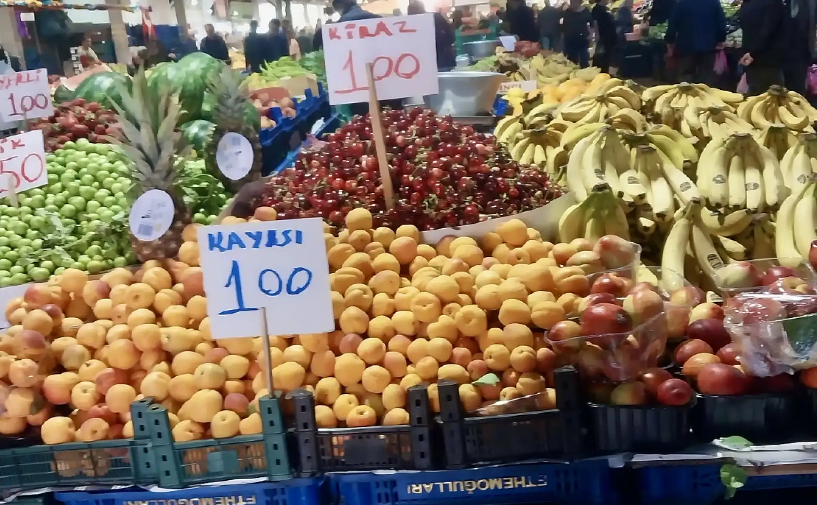 Sezonu yüz liradan açtı