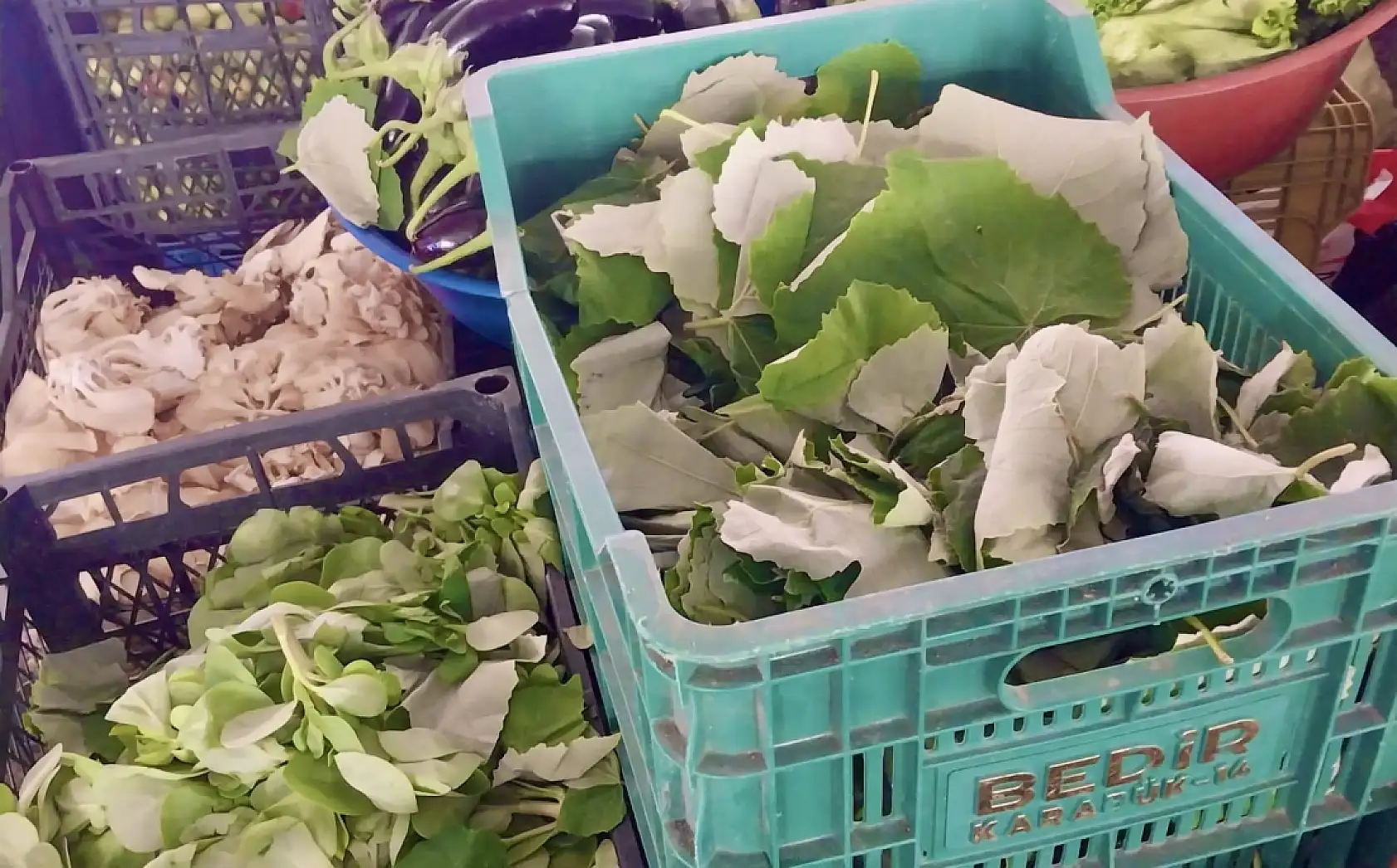 Fiyatlarda son durum