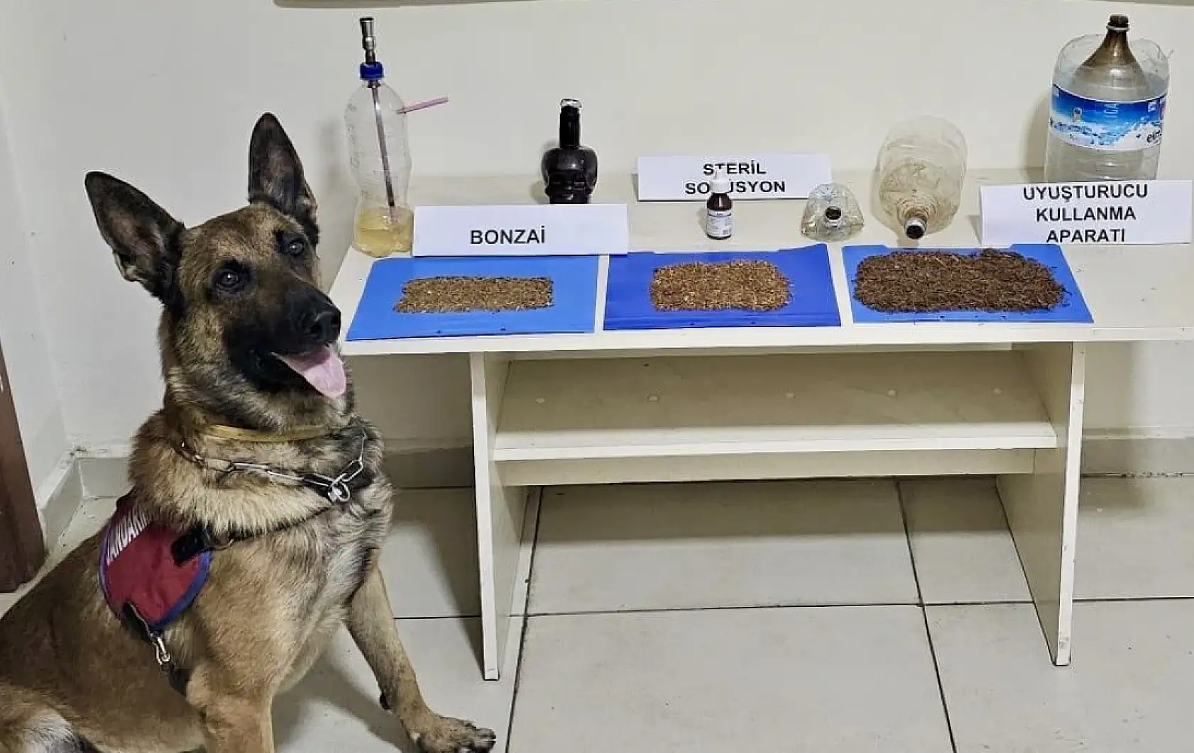 Jandarmadan zehir tacirlerine darbe