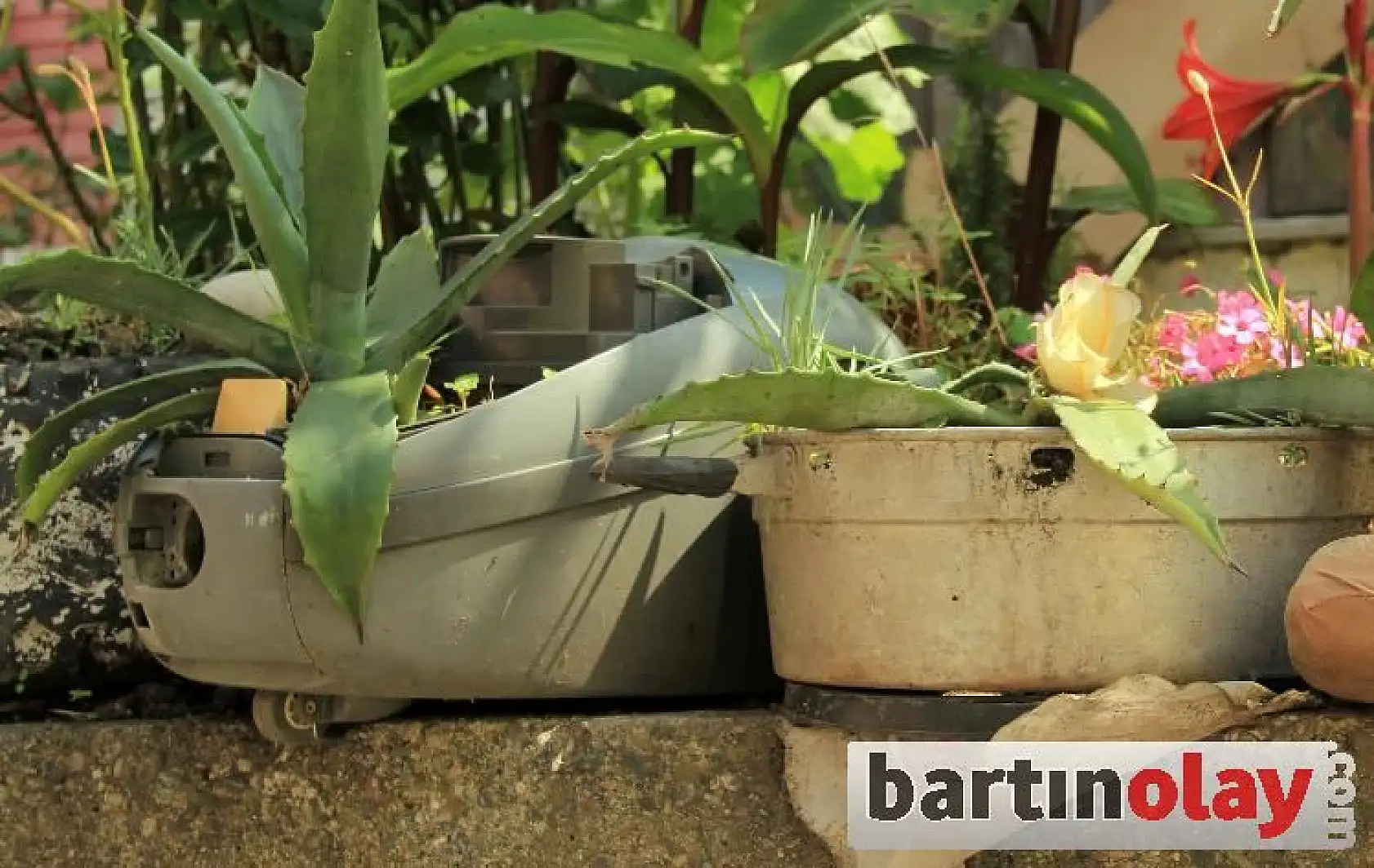 Dünyanın en ilginç bahçesi