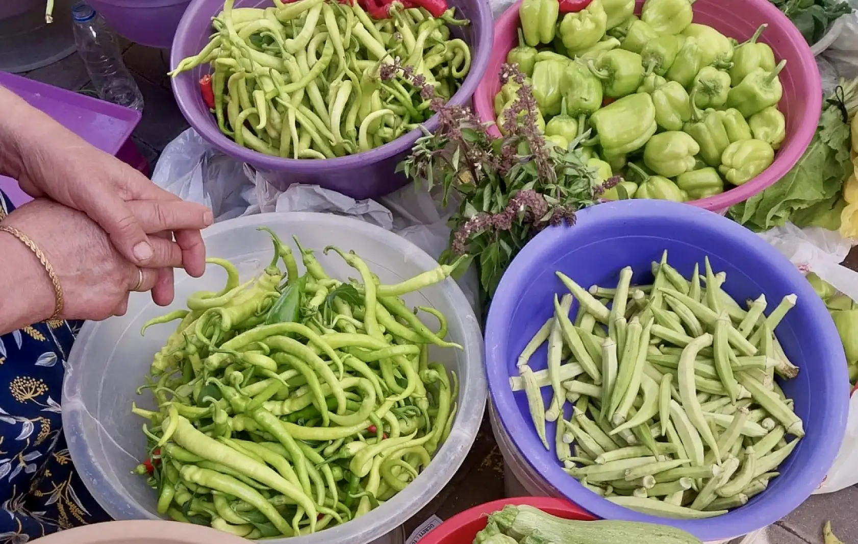 Fiyatlar ateş pahası