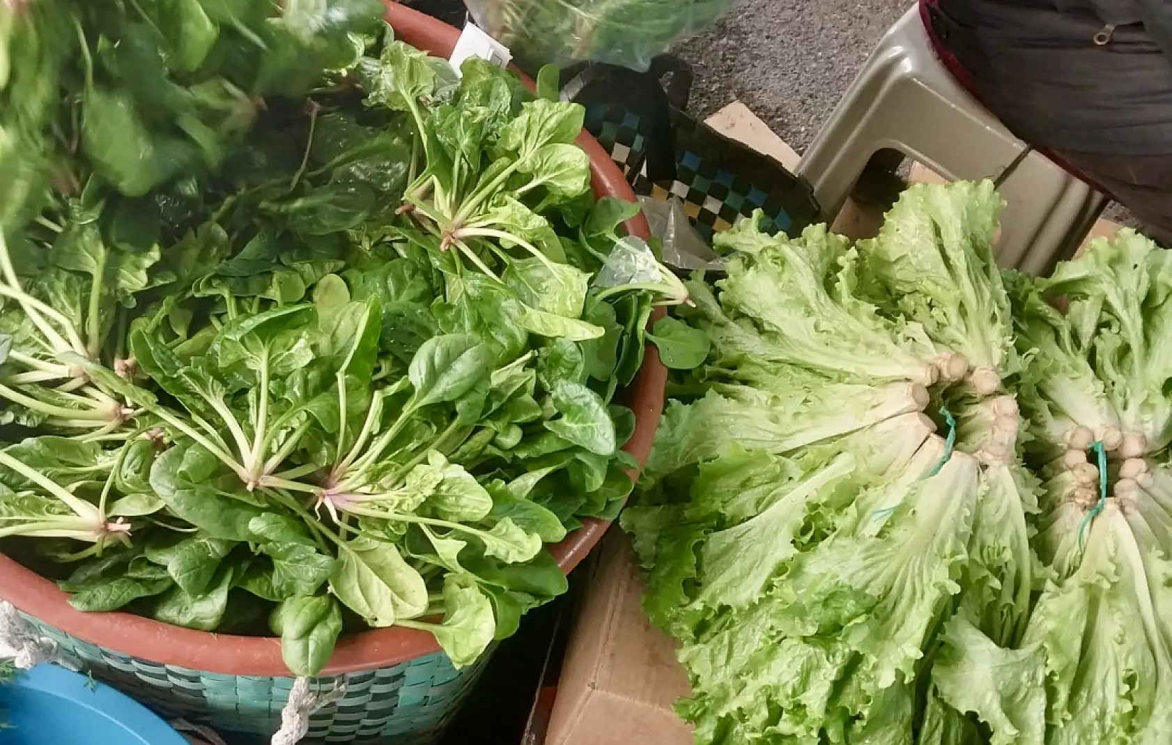 Pazarda ıspıt bolluğu