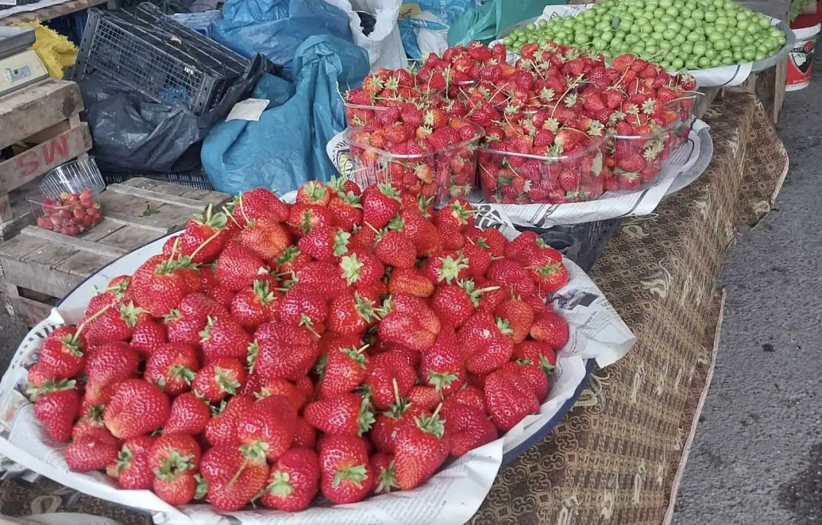 Sezonu yüz liradan açtı