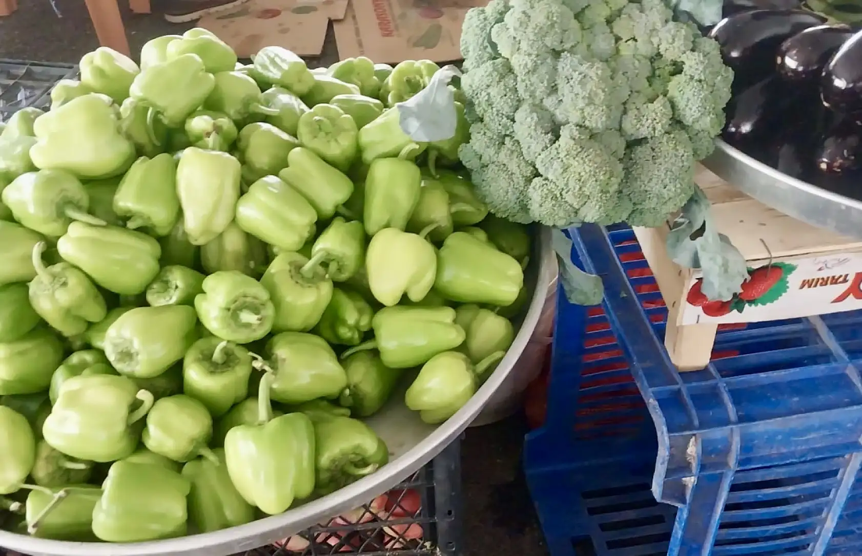 Fasulye inişte, bamya direnişte